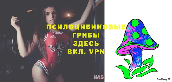 гашик Волосово