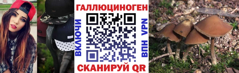 Псилоцибиновые грибы мухоморы  Купить где  Шацк 