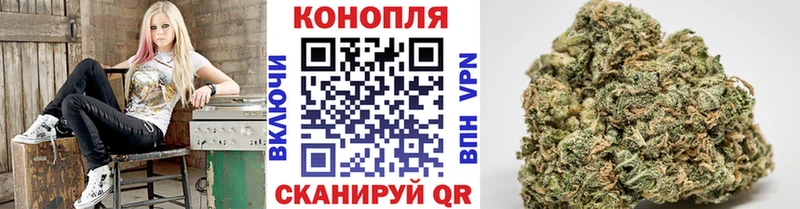 Купить где  Шацк  Шишки марихуана VHQ 